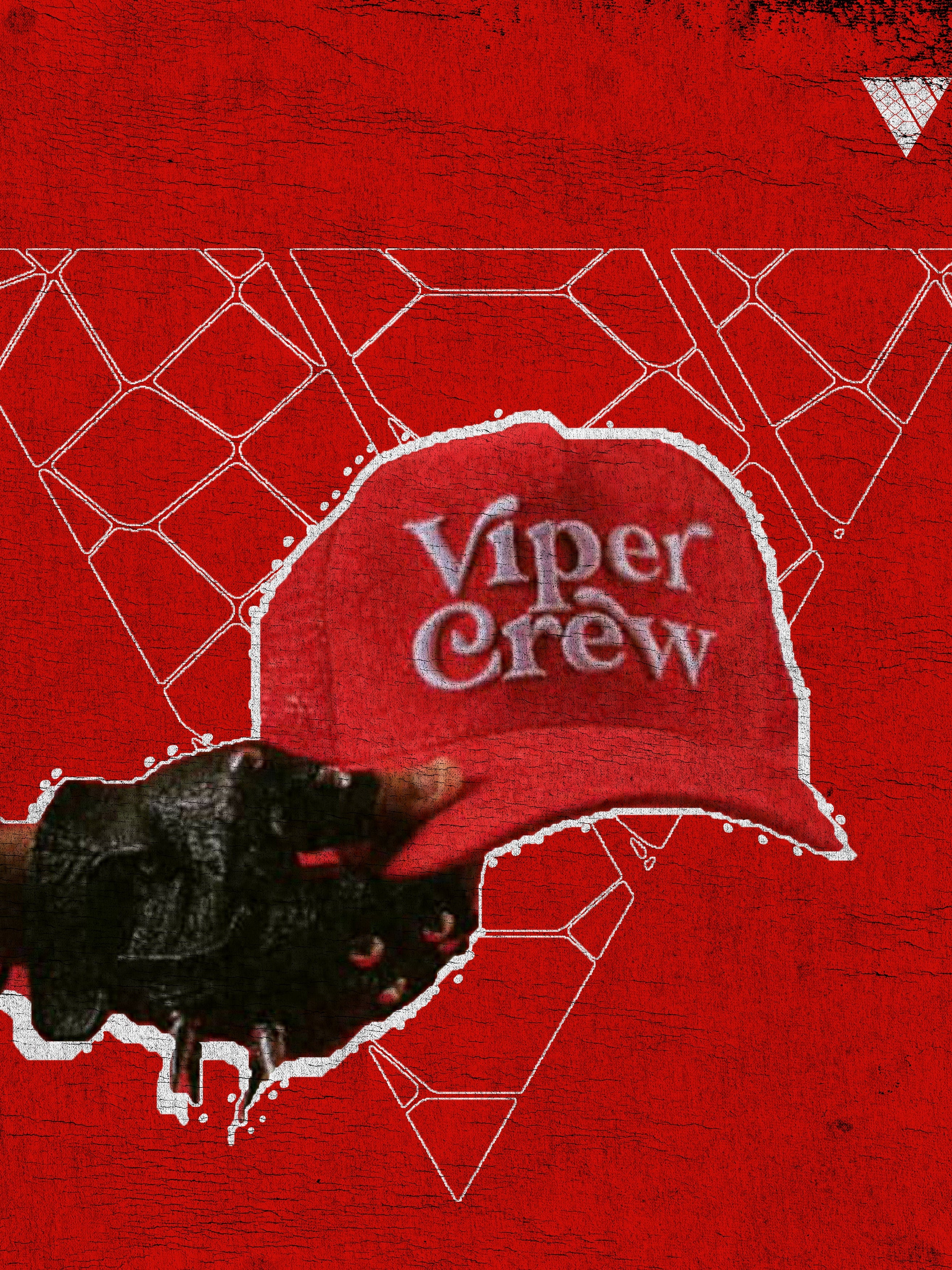 Viper Crown Snapback